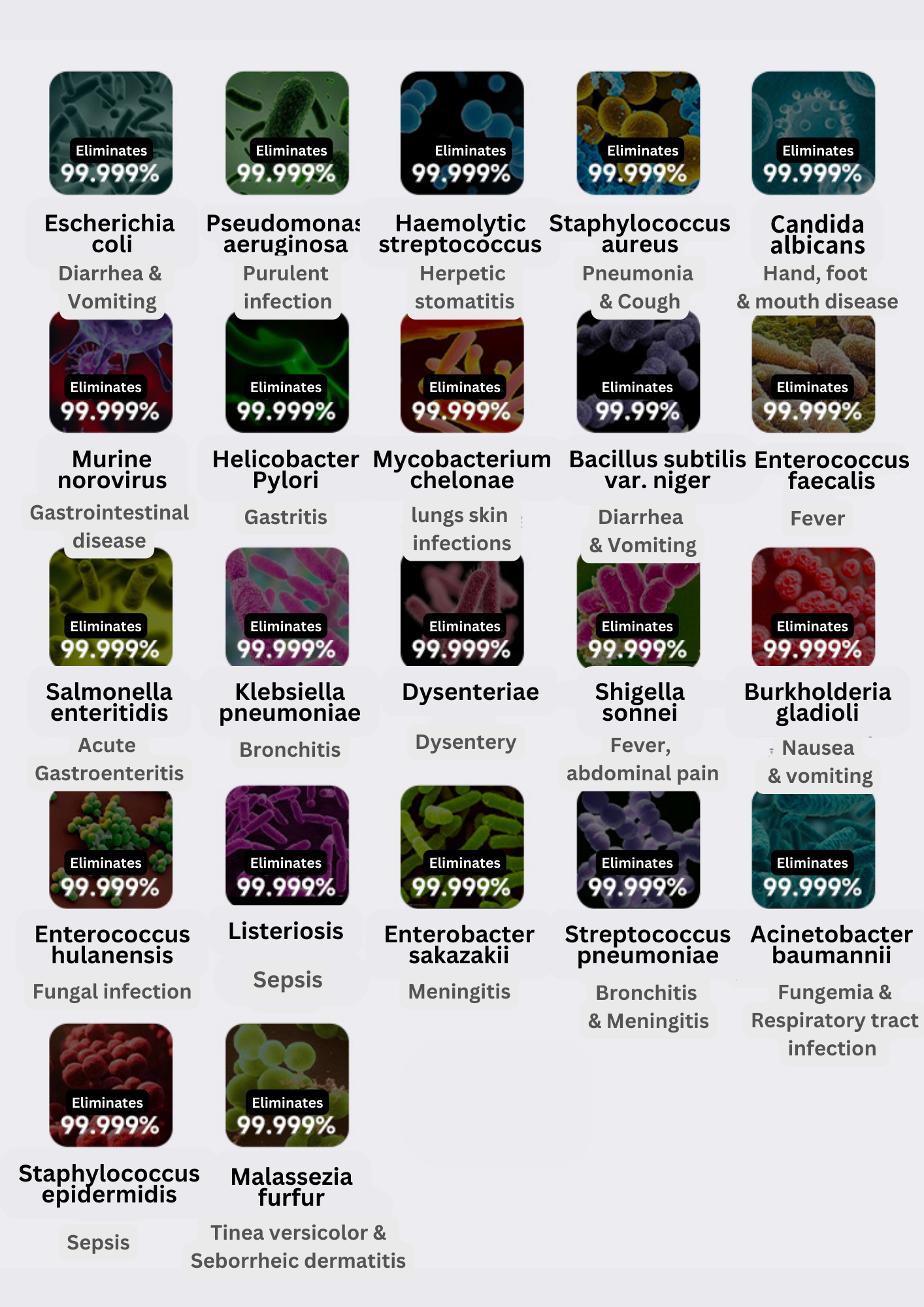 星空 UV消毒烘乾櫃